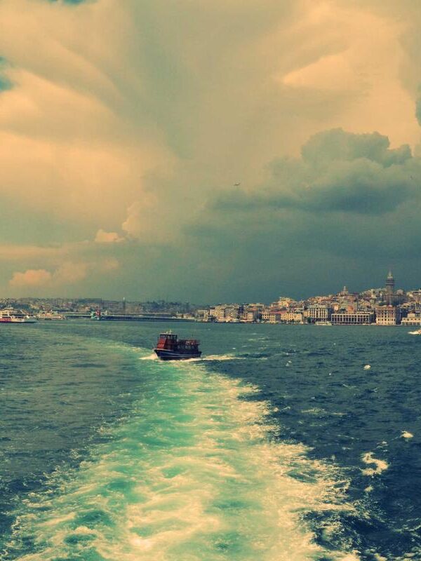 Turpis nisi iaculis suspendisse donec purus tincidunt morbi enim ante