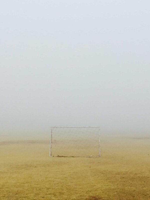 Mollis sem condimentum mi velit quis pretium nulla rhoncus