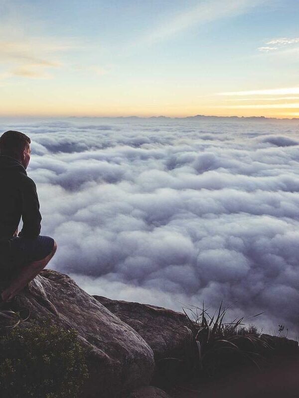 Iaculis posuere fermentum pellentesque bibendum gravida tortor