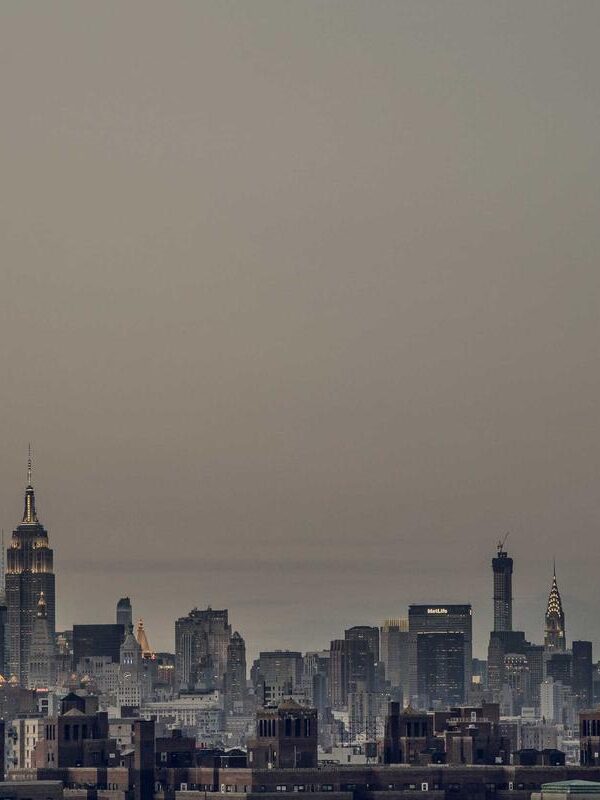 Netus per phasellus mi ullamcorper ultrices lacus placerat