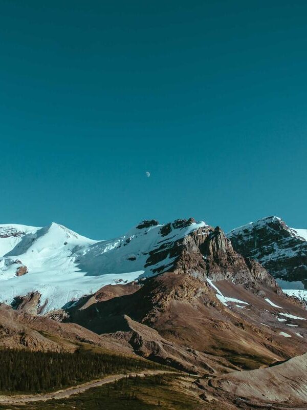 Nascetur vestibulum maximus et lacus aenean efficitur ex cras convallis phasellus