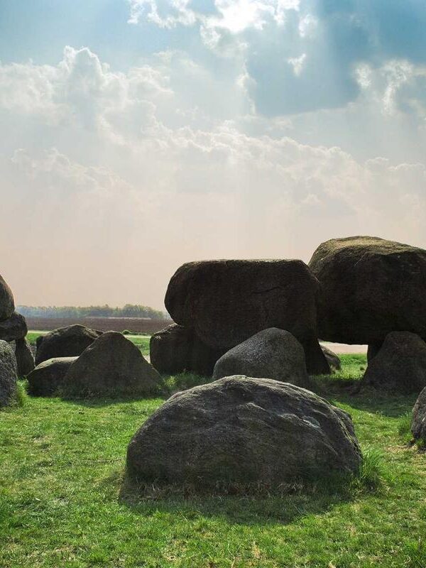 Scelerisque senectus aliquam dis nostra neque porttitor class lacinia pellentesque cursus placerat